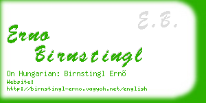 erno birnstingl business card